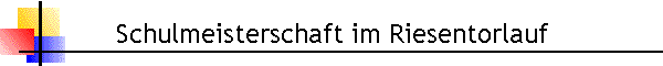 Schulmeisterschaft im Riesentorlauf