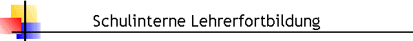Schulinterne Lehrerfortbildung