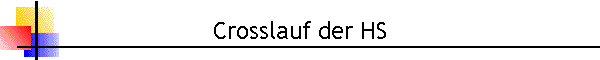Crosslauf der HS