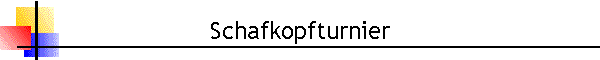 Schafkopfturnier
